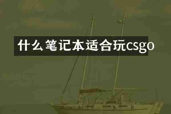 什么笔记本适合玩csgo
