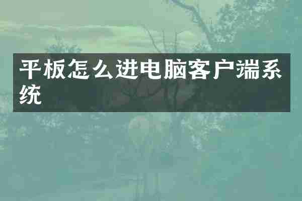 平板怎么进电脑客户端系统