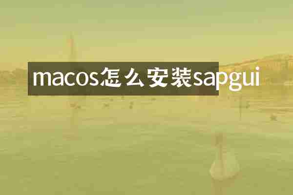 macos怎么安装sapgui