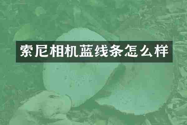 相机蓝线条怎么样