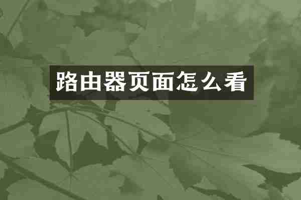 路由器页面怎么看