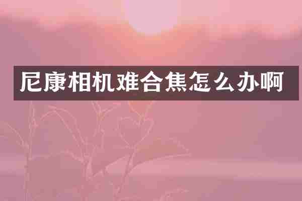 尼康相机难合焦怎么办啊
