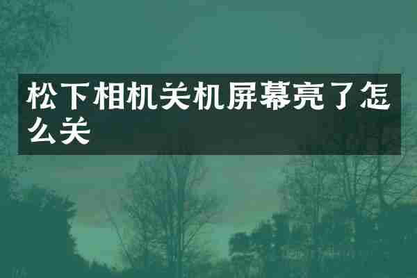 相机关机屏幕亮了怎么关