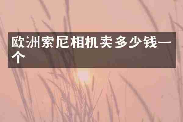 欧洲相机卖多少钱一个