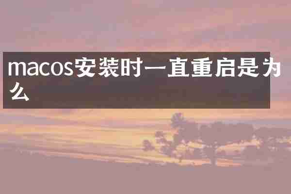 macos安装时一直重启是为什么