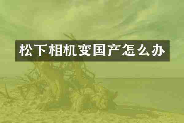 相机变国产怎么办