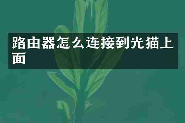 路由器怎么连接到光猫上面