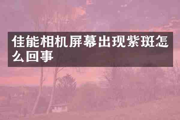 佳能相机屏幕出现紫斑怎么回事