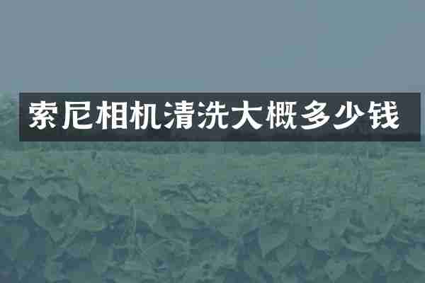 相机清洗大概多少钱