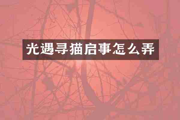 光遇寻猫启事怎么弄