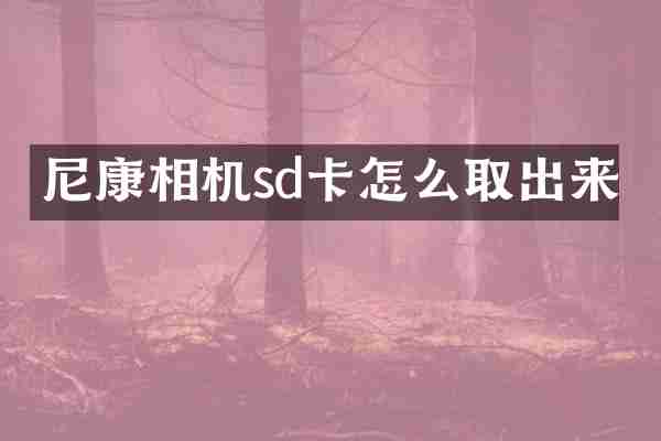 尼康相机sd卡怎么取出来