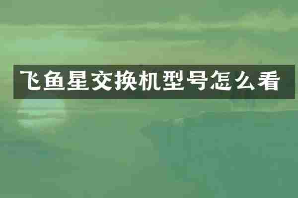 飞鱼星交换机型号怎么看
