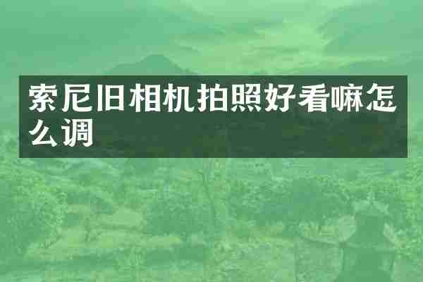 旧相机拍照好看嘛怎么调