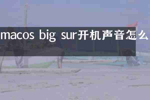 macos big sur开机声音怎么关