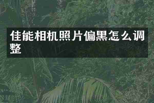 佳能相机照片偏黑怎么调整
