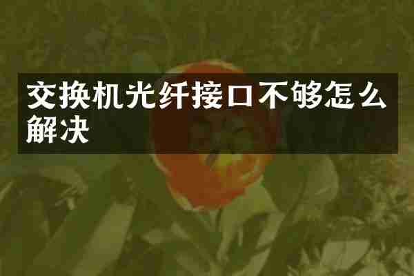 交换机光纤接口不够怎么解决