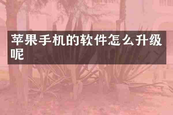 苹果手机的软件怎么升级呢