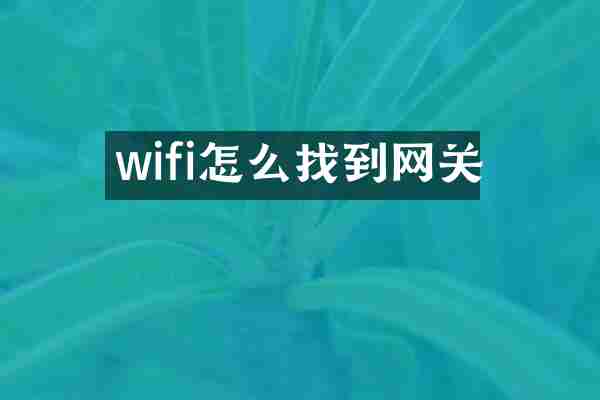 wifi怎么找到网关