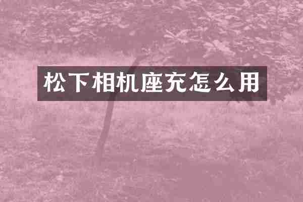 相机座充怎么用