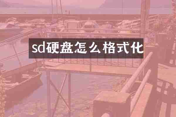 sd硬盘怎么格式化