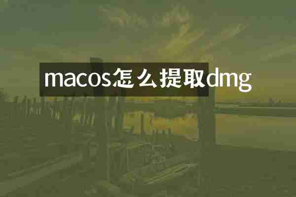 macos怎么提取dmg