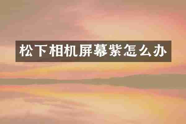 相机屏幕紫怎么办