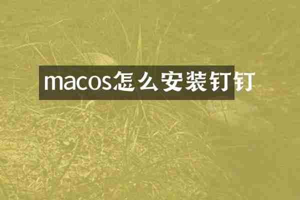 macos怎么安装钉钉
