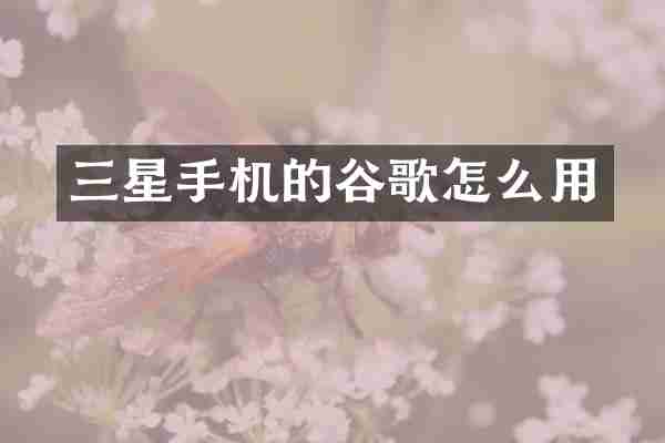 三星手机的谷歌怎么用