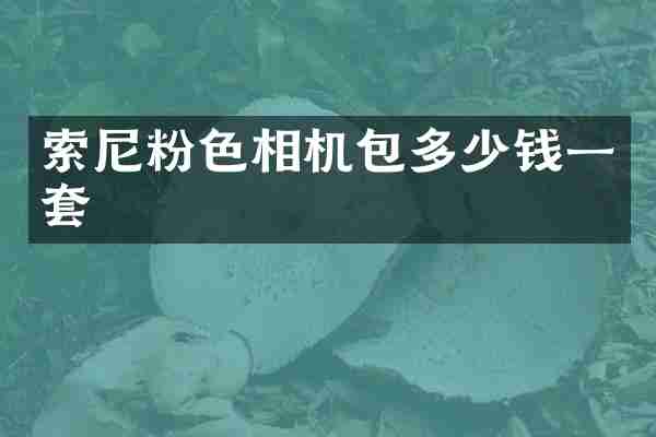 索尼粉色相机包多少钱一套