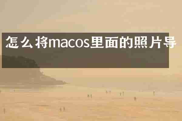 怎么将macos里面的照片导出
