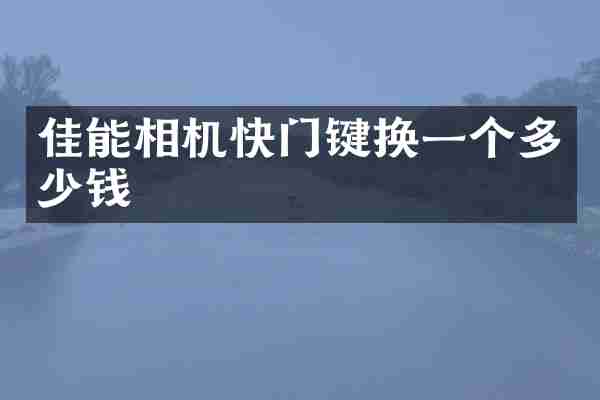 佳能相机快门键换一个多少钱