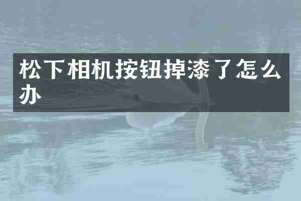 相机按钮掉漆了怎么办