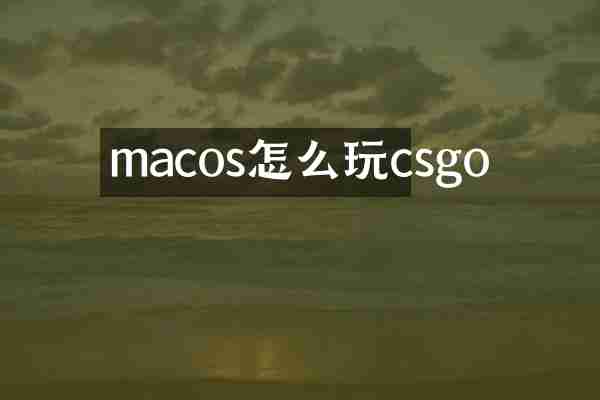 macos怎么玩csgo