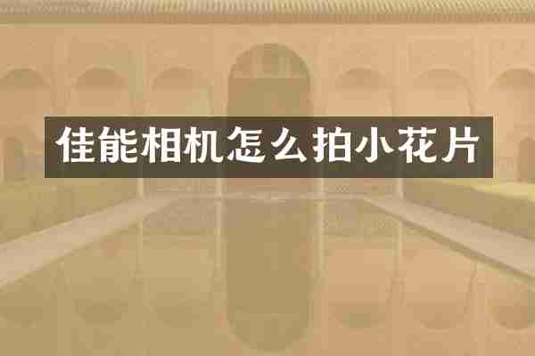 佳能相机怎么拍小花片