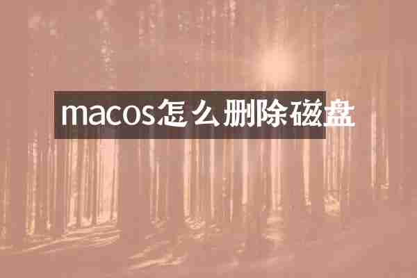 macos怎么删除磁盘