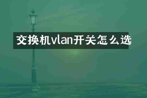 交换机vlan开关怎么选