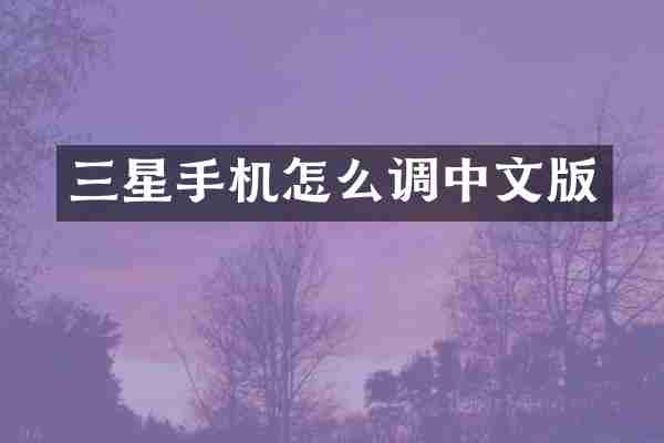 三星手机怎么调中文版