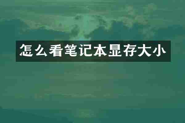 怎么看笔记本显存大小