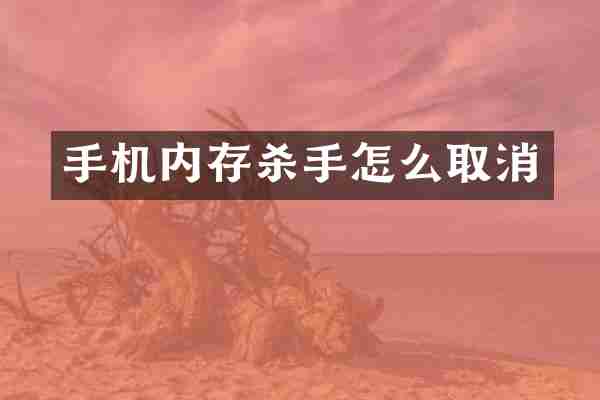 手机内存杀手怎么取消