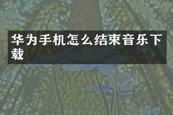 华为手机怎么结束音乐下载