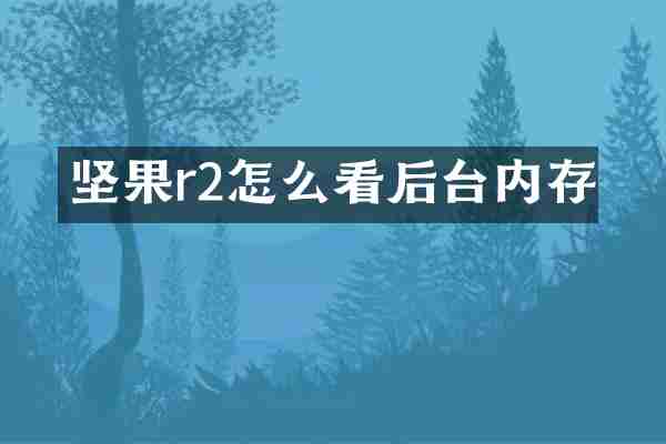 坚果r2怎么看后台内存