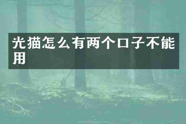 光猫怎么有两个口子不能用
