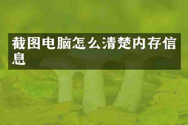 截图电脑怎么清楚内存信息