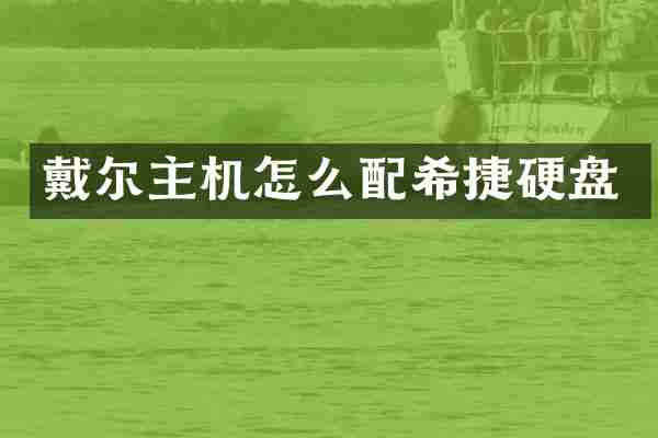 戴尔主机怎么配希捷硬盘