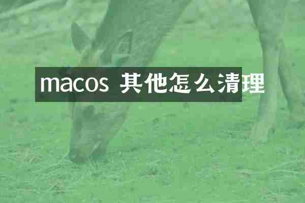macos 其他怎么清理