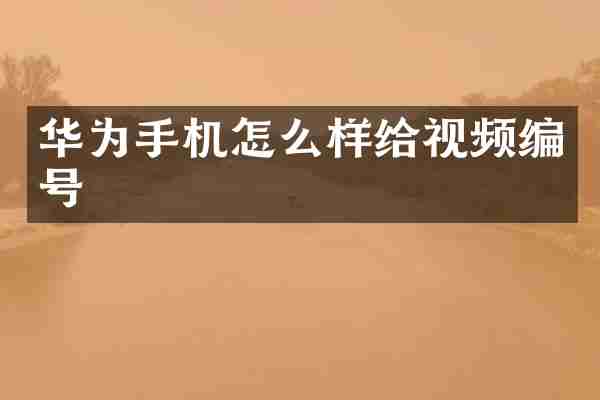 华为手机怎么样给视频编号
