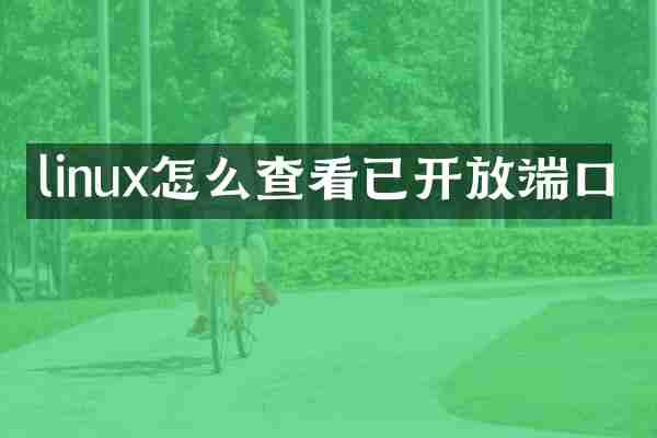 linux怎么查看已开放端口