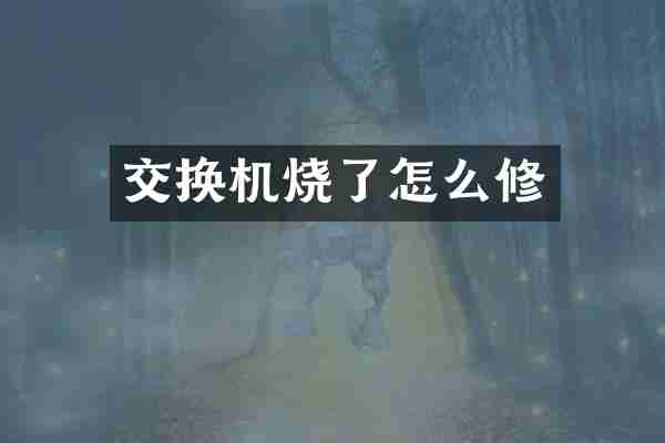 交换机烧了怎么修