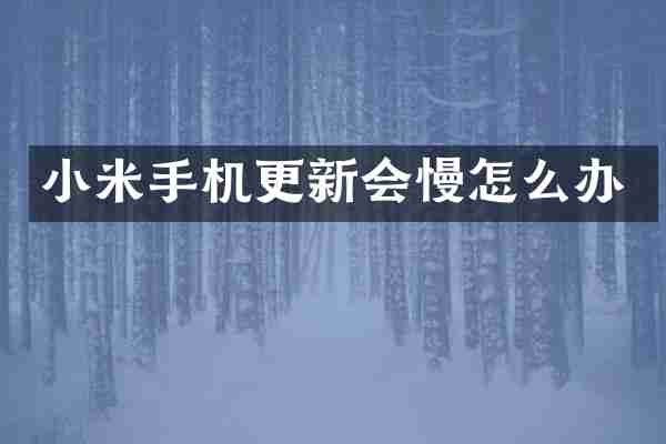 小米手机更新会慢怎么办
