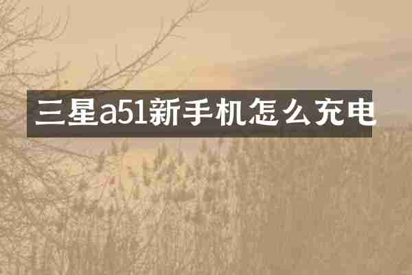 三星a51新手机怎么充电